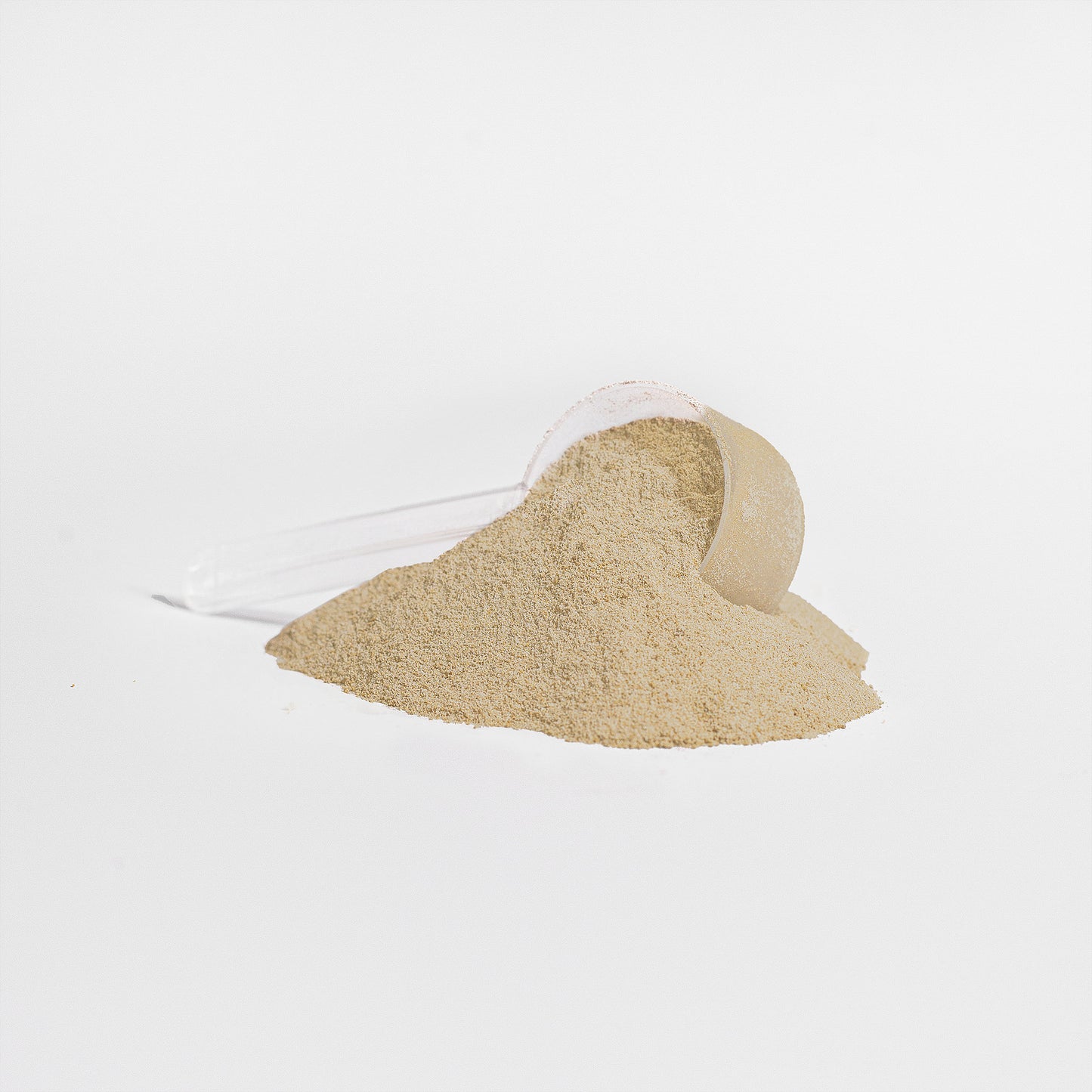 BoxingToned Shred & Tone Whey Protein